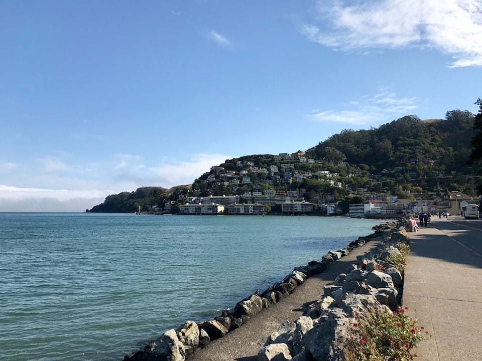 body of water near city buildings under blue sky during daytime - Sausalito