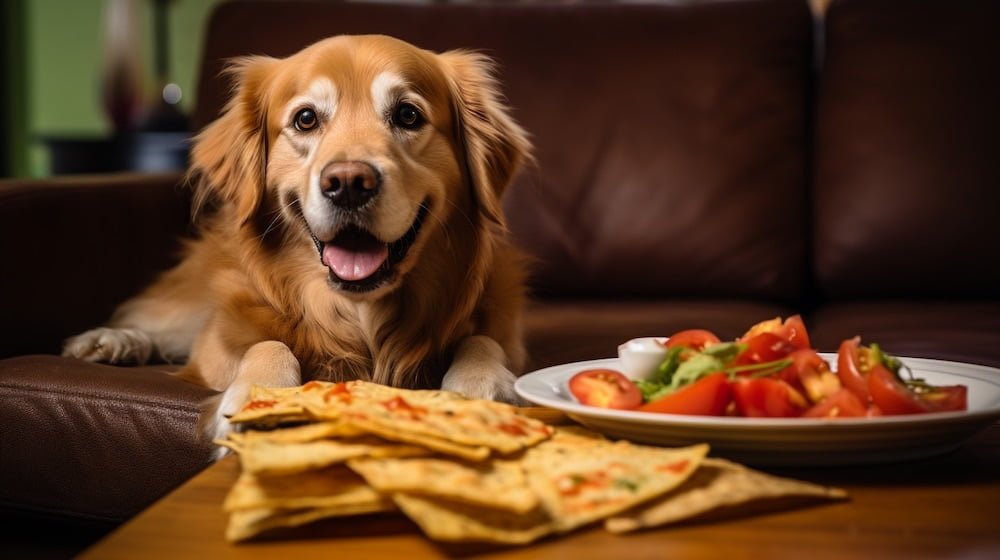 Potential Health Risks for Dogs Eating Quesadillas