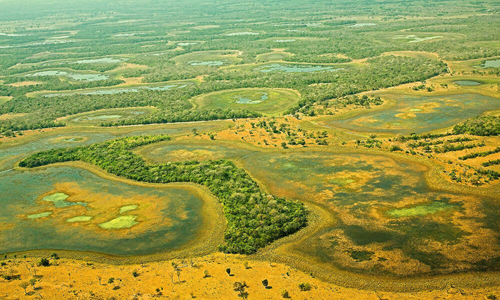 Pantanal, Brazil