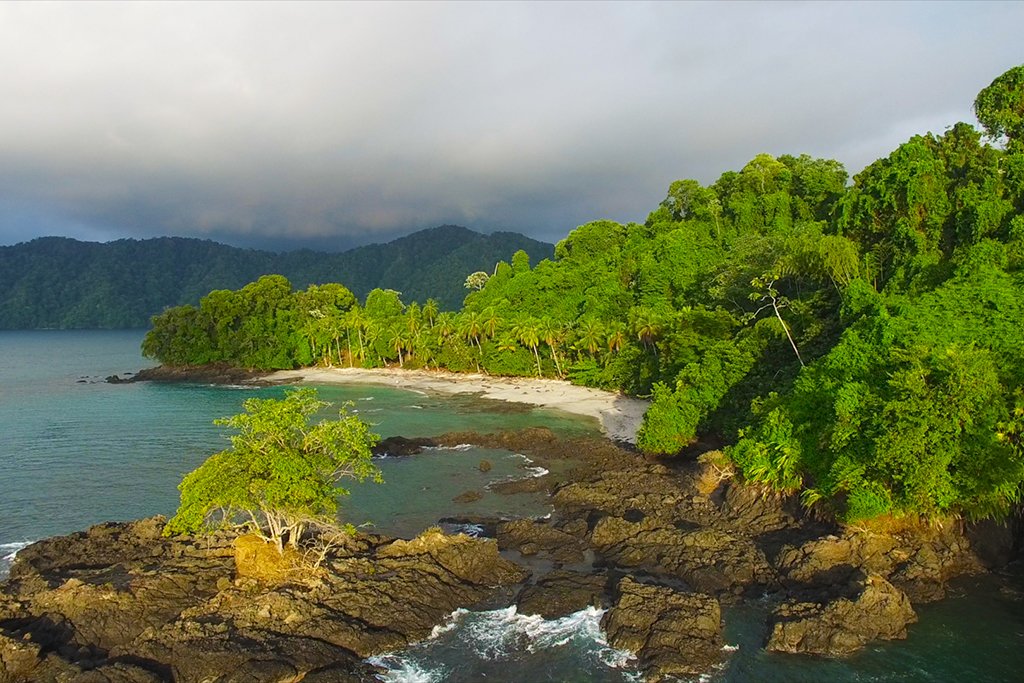 Chocó Rainforest, Colombia and Ecuador