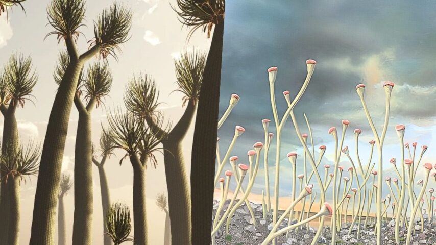 10 Extinct Plants You Won’t Believe Existed