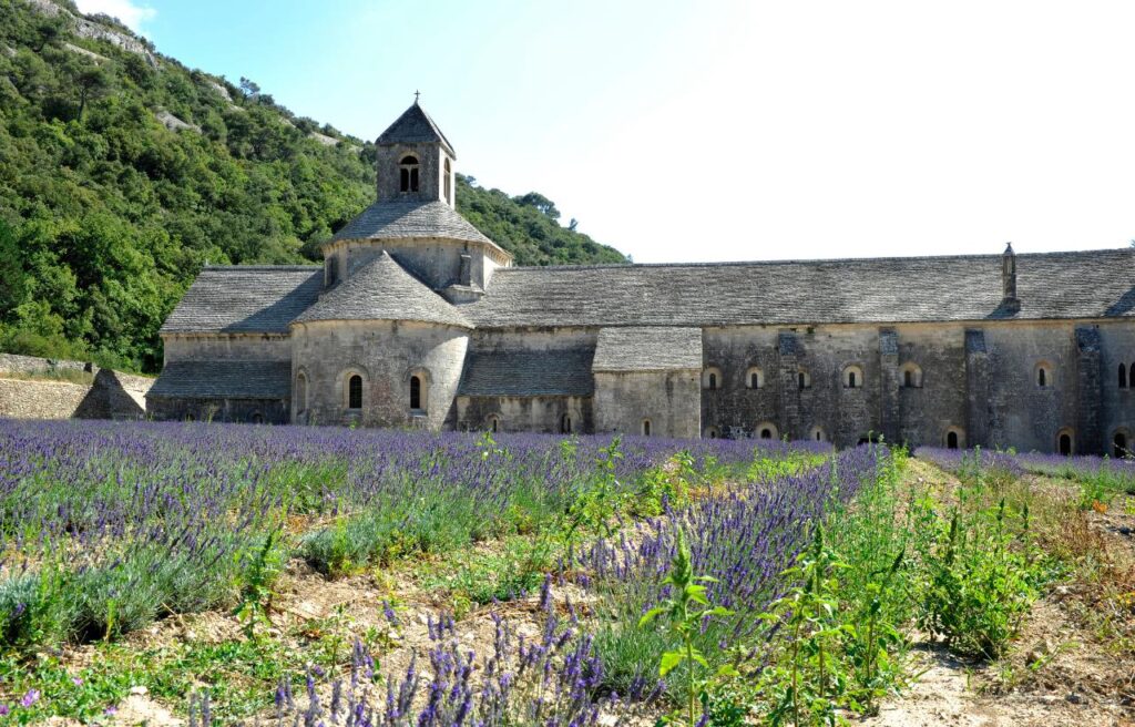 Sénanque Abbey, Gordes