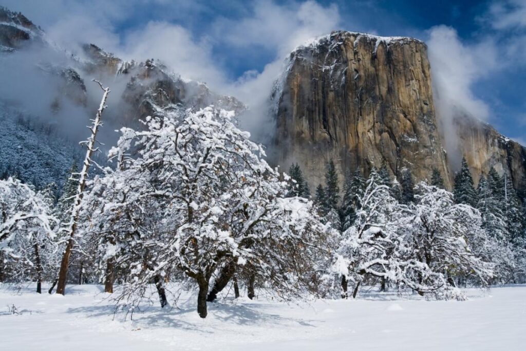 Yosemite National Park, USA