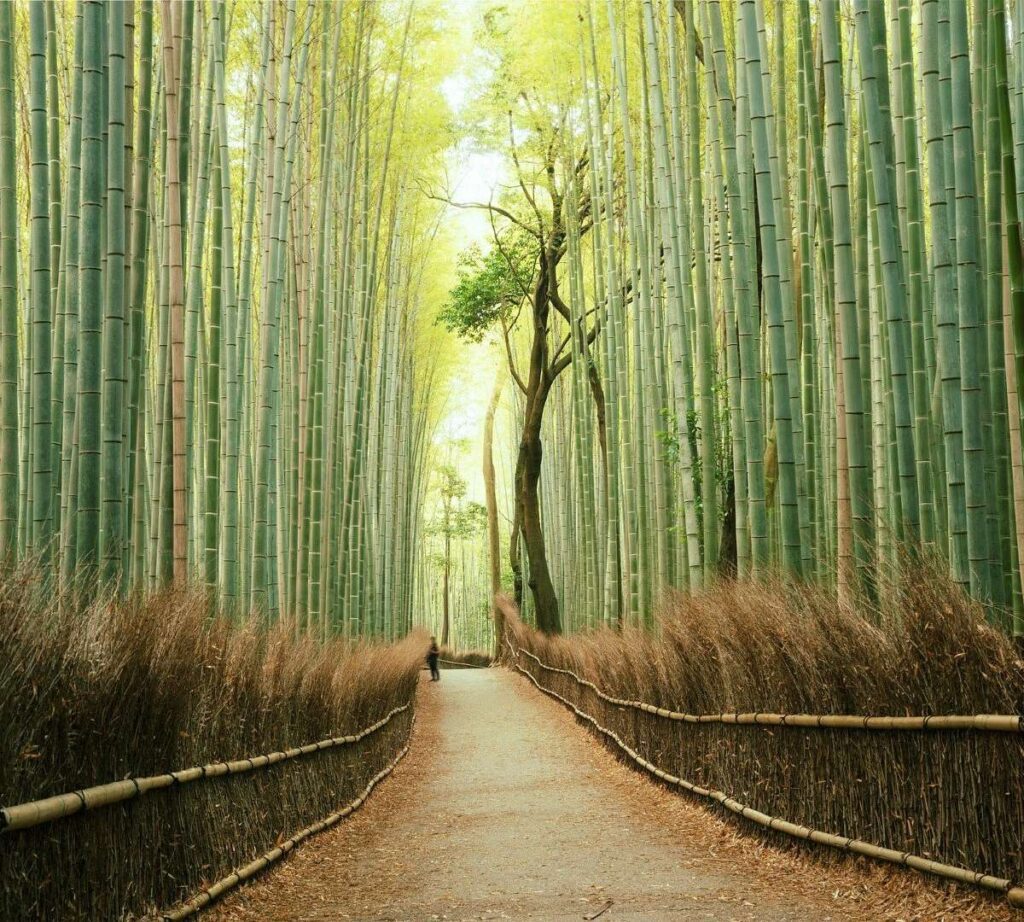 Arashiyama