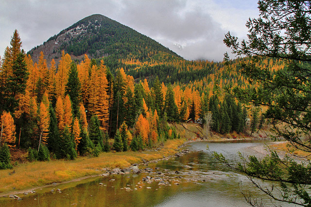 Glacier National Park, Montana, USA